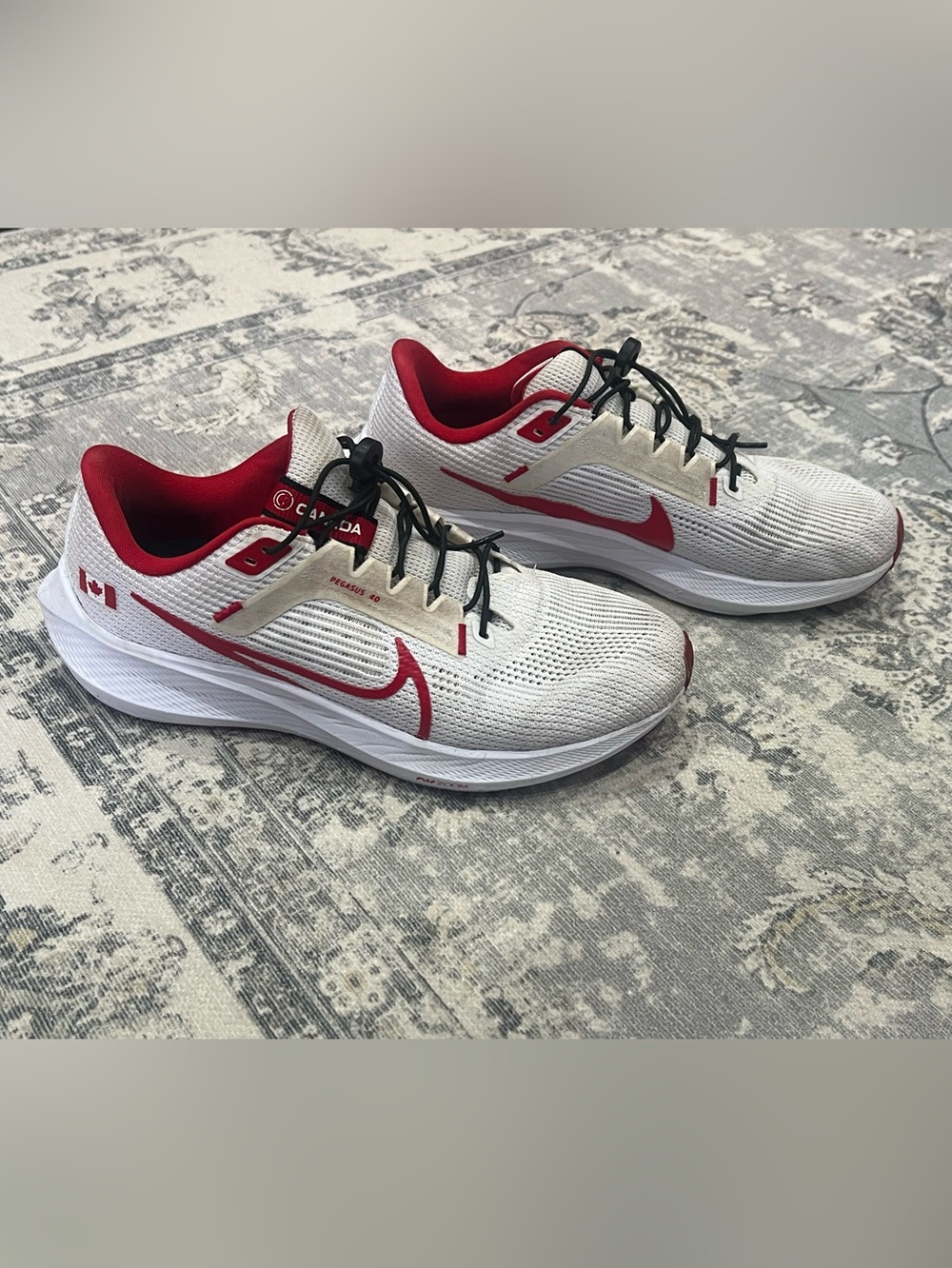 Nike Air Zoom Pegasus 40 running shoes
